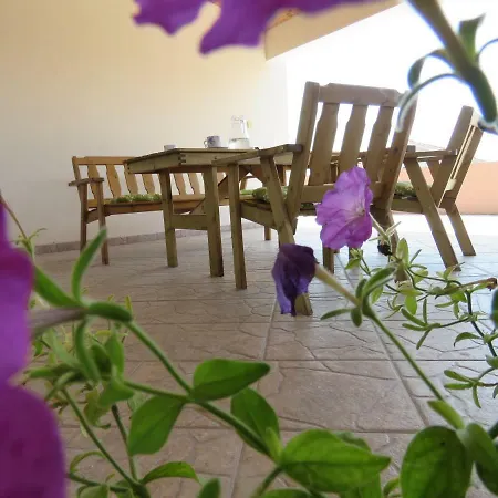 Dila 게스트하우스