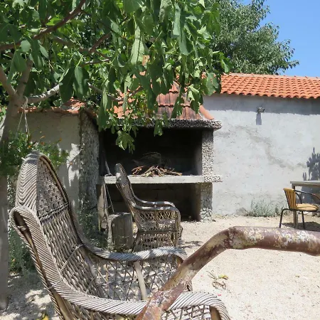 Dila Galovac (Zadar)